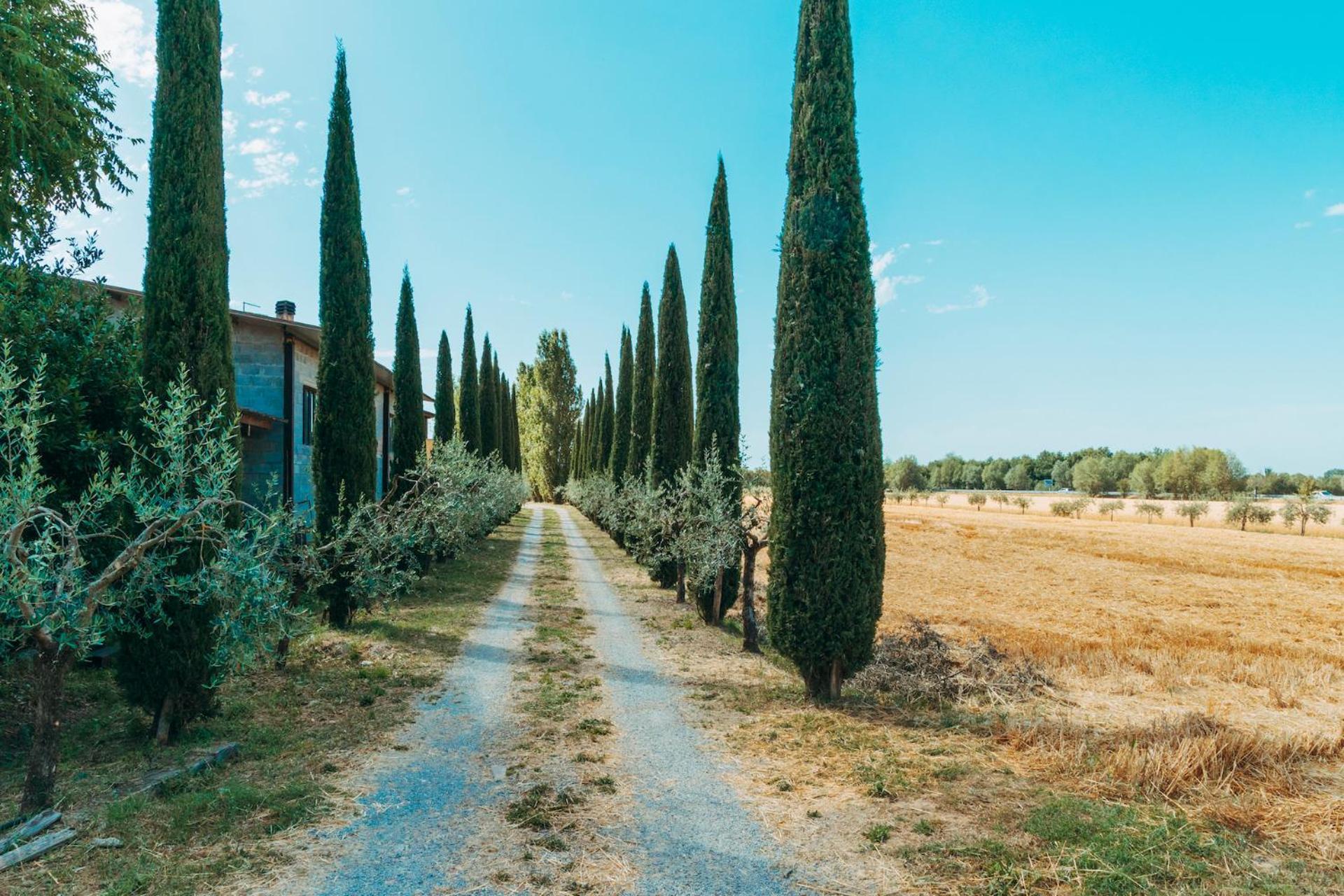 Agriturismo Il Borgo Cortona Exterior photo