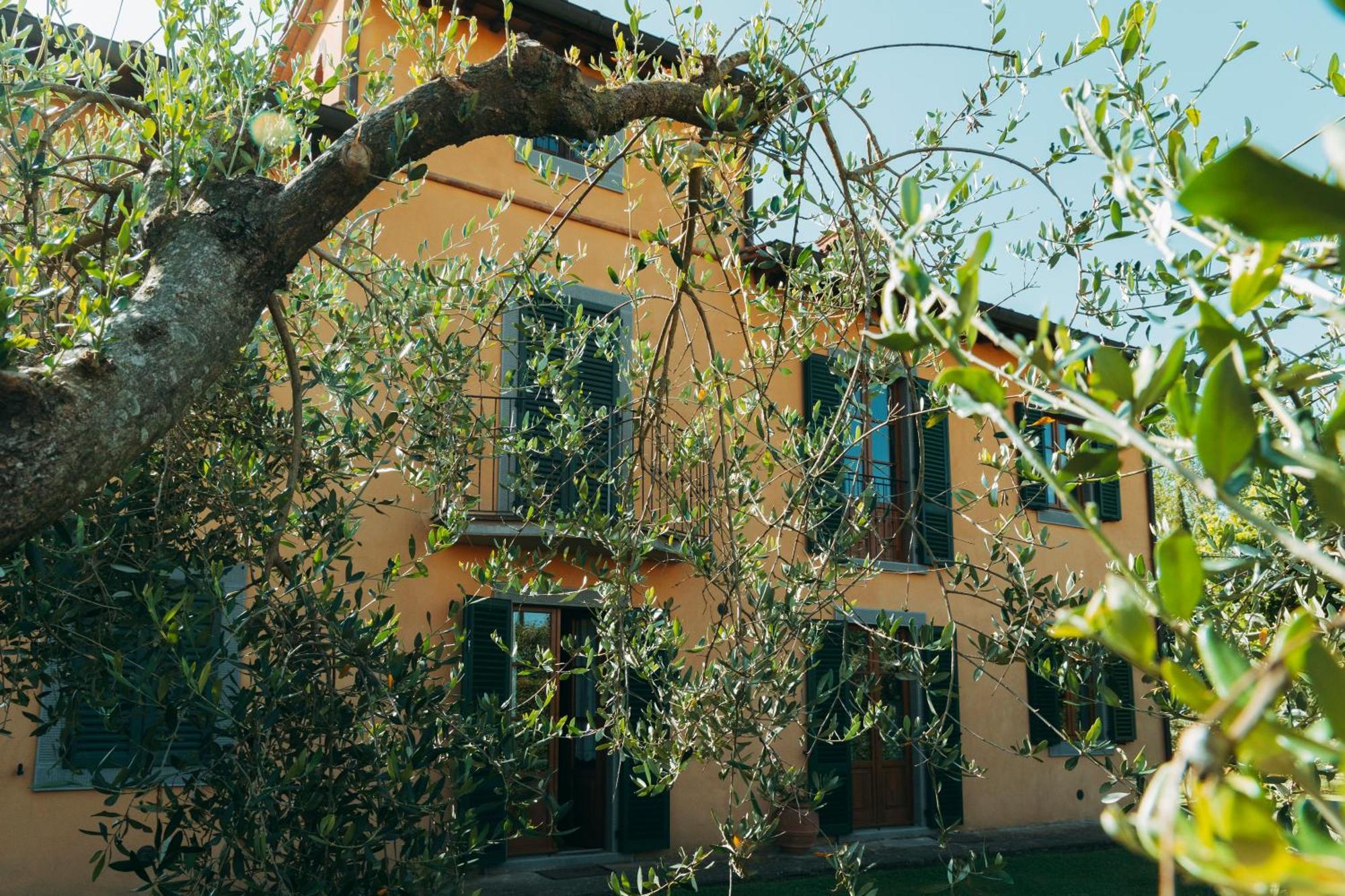 Agriturismo Il Borgo Cortona Exterior photo